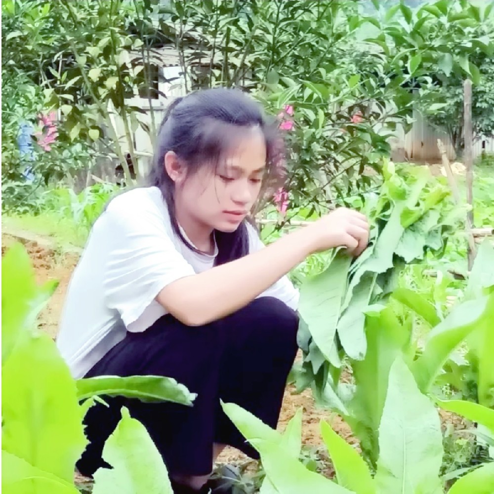 爱心下单一袋小青柑，或许就能帮助这个家庭
